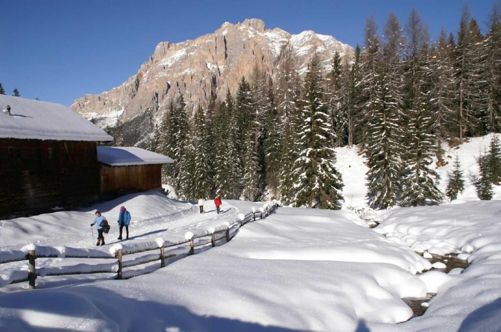 Monti Pallidi B&B Apartments Corvara In Badia Exterior foto